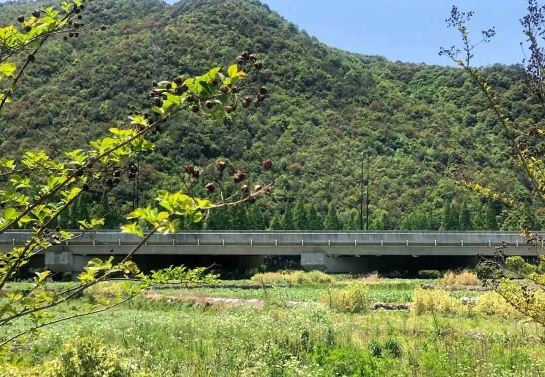 宁波最好的一个古村,宁波第一千年古村