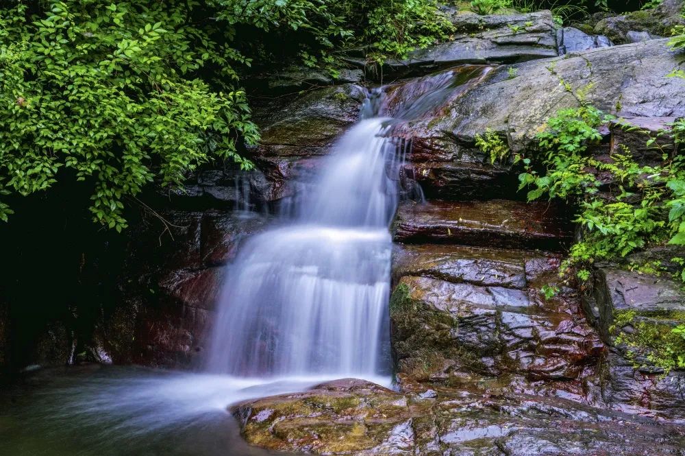 灏忎節瀵ㄥ弻榫欏场,浜タ灏忎節瀵ㄥ弻榫欏场