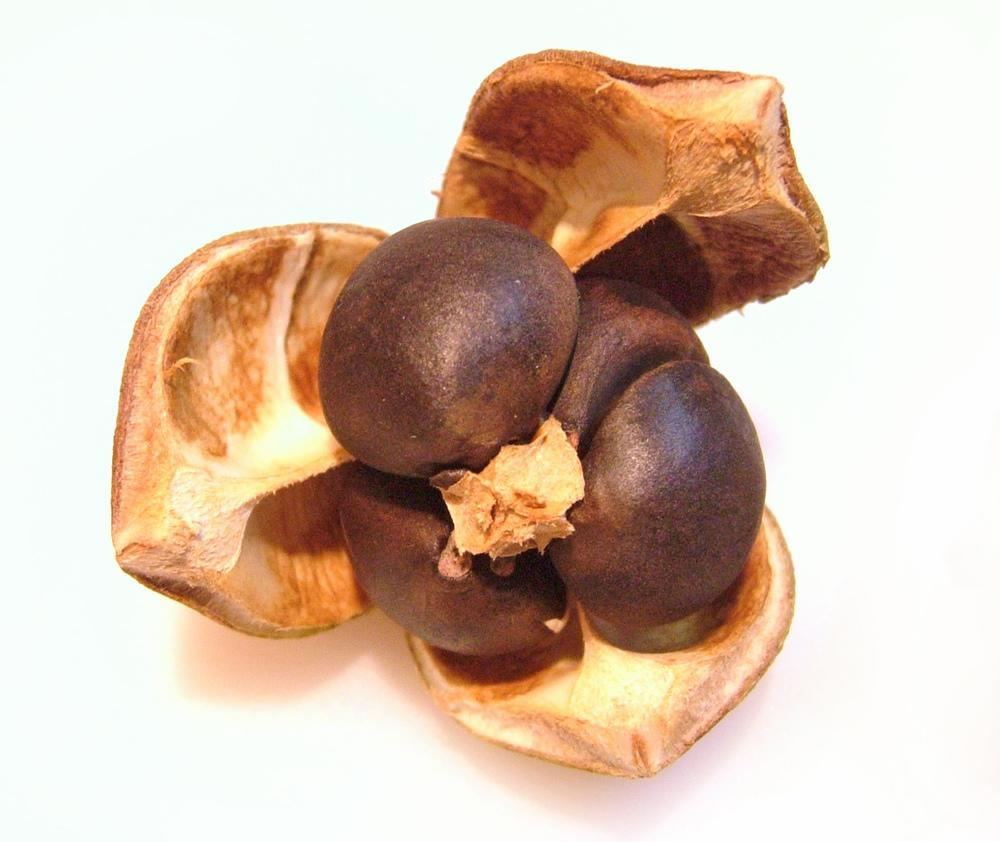 抹茶到底是怎么吃,抹茶到底有多难吃