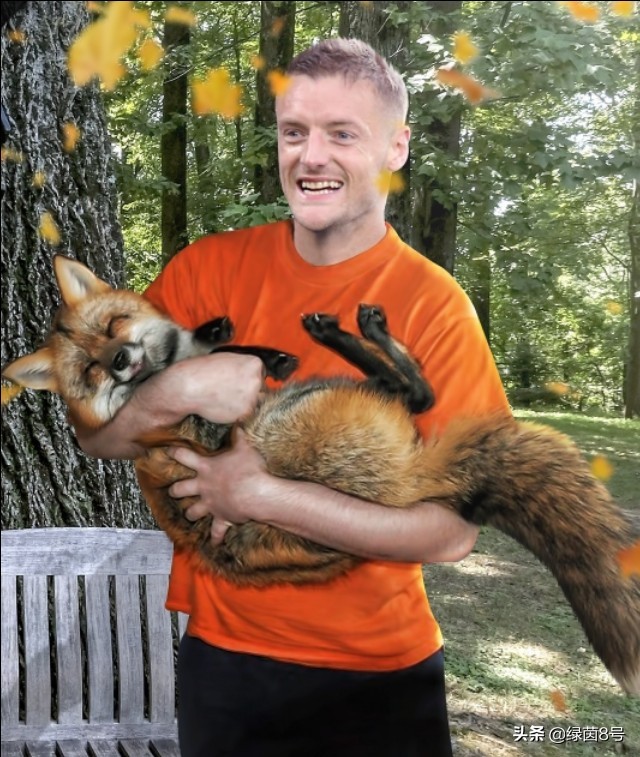 英超球队标志都是什么,英超热刺标志