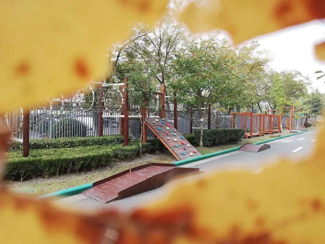 【秋色】一起逛青浦的校园,在书香中邂逅最美的秋