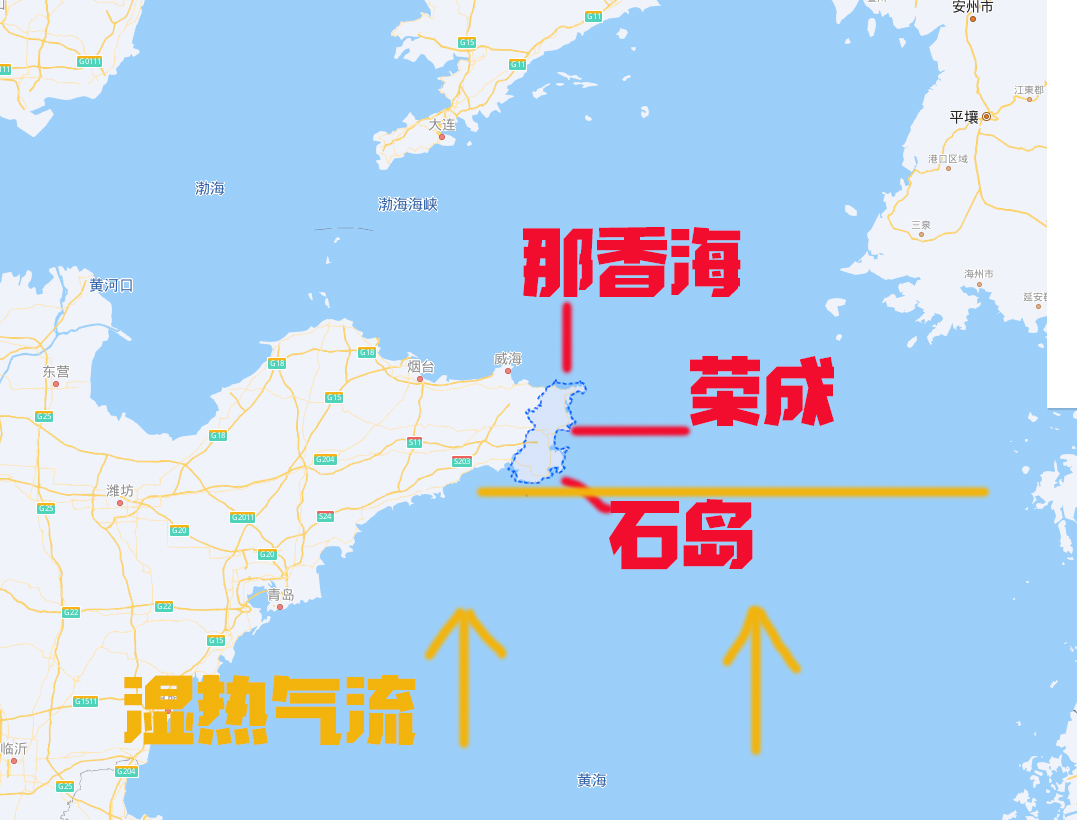 海边的房子有特别潮的吗,海边的房子夏天会潮吗