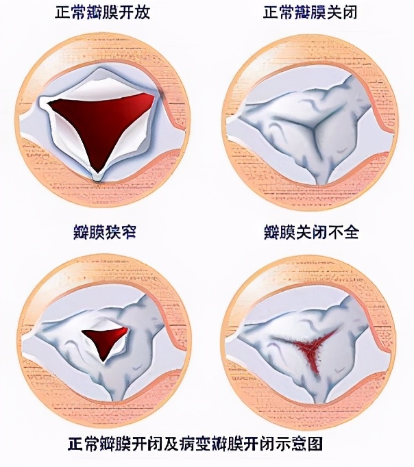 新手爸妈必看婴幼儿护理,新手爸妈要知道的四个儿科医生