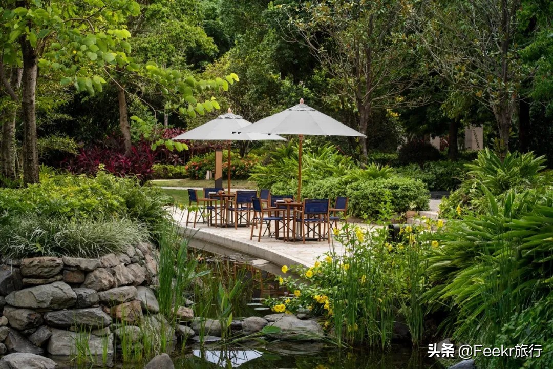 私藏菲律宾同款空中佛手，落胃美食从早吃到晚，这座广东小城该火