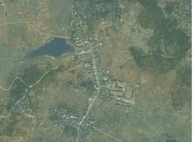 鏂扮敯鏋уご鐏伨,鏂扮敯鏋уご