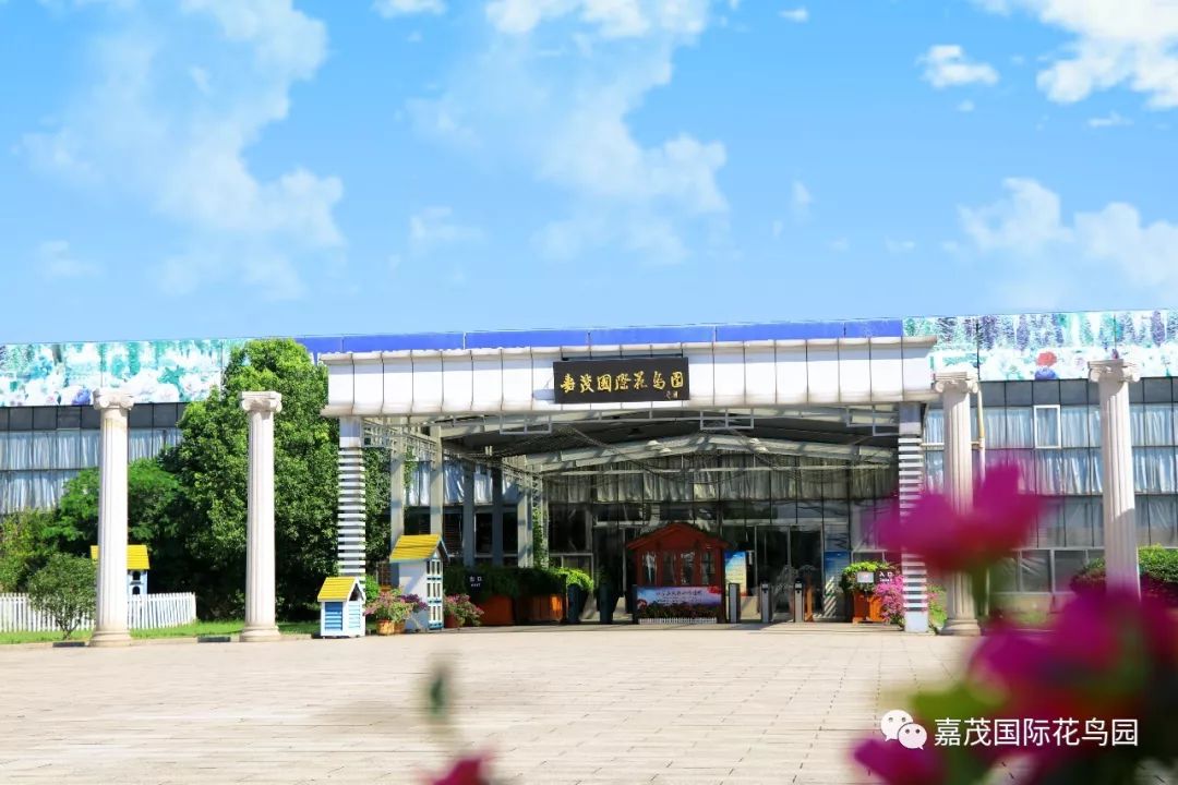 江阴嘉茂国际花鸟园,江阴嘉茂国际花鸟园什么时候再开