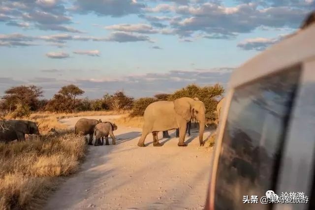 三个95后开五菱车,95后开着面包车环游世界