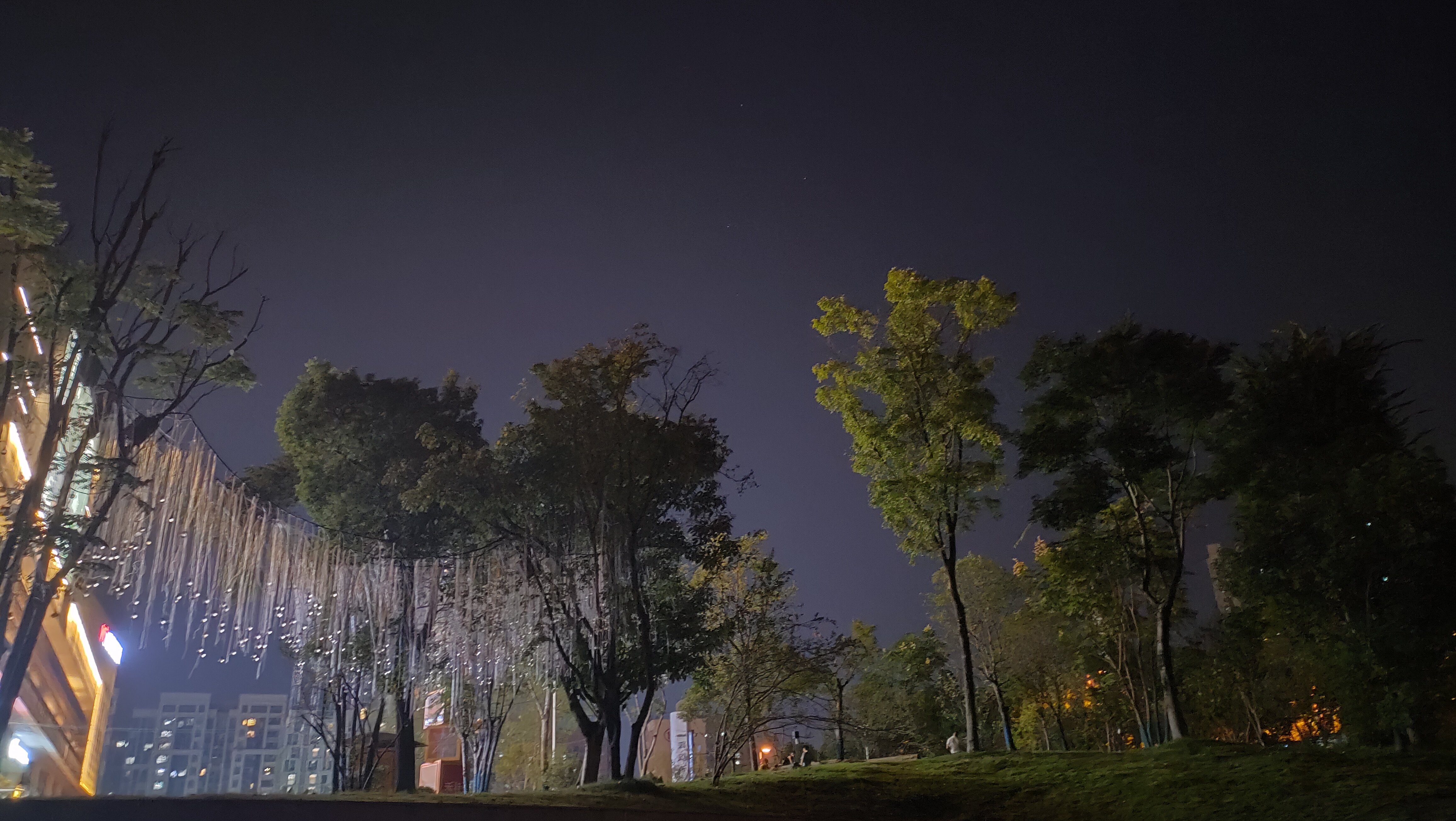 酉阳宜居茶园,重庆宜居茶园
