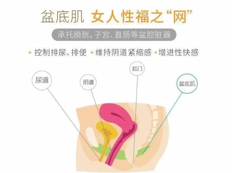 产后盆底肌修复正规医院要多少钱,产后没有漏尿需要做盆底肌修复吗