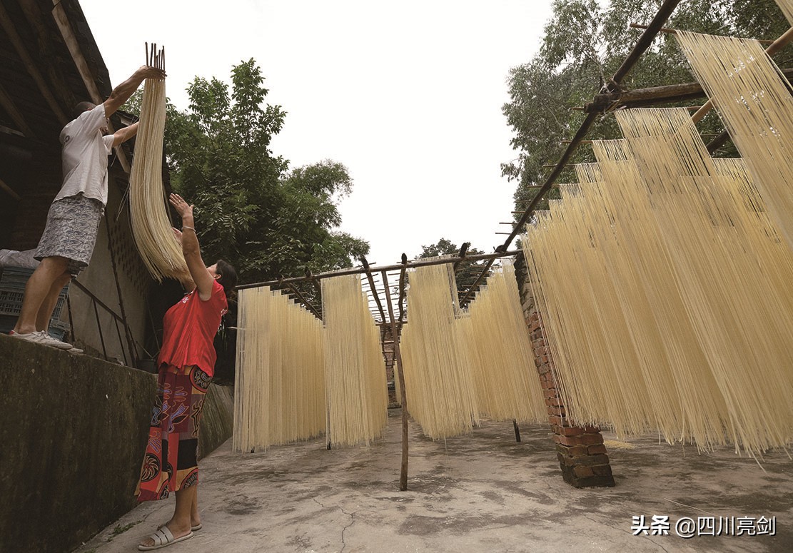 致敬无悔的青春,致敬无悔的青春完整版