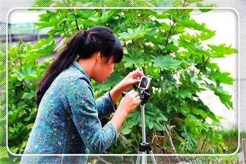 农村最新致富创业项目有哪些,致富门路创业项目