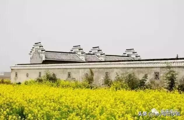 金三银四辞职信,金三银四辞职季