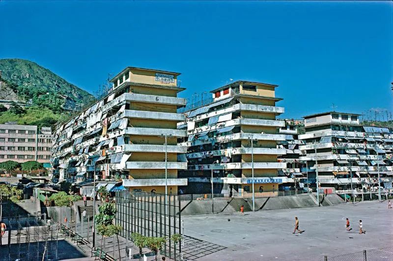 25年了，你被他们教坏了吗