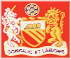 英超队徽一览表,英超各球队队徽