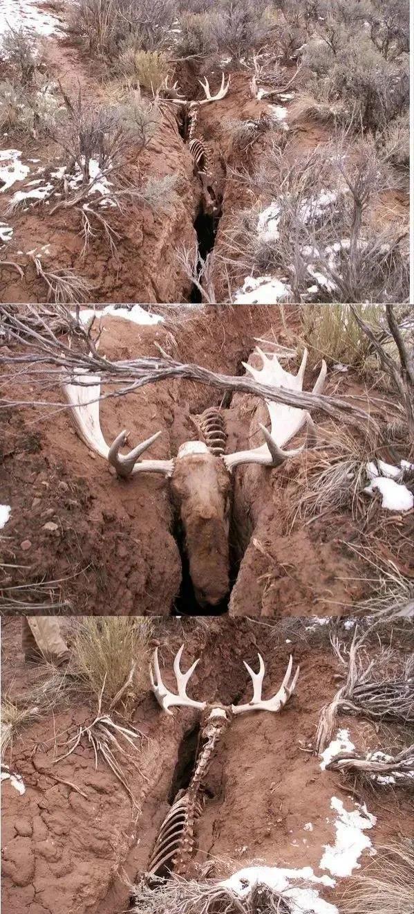 全身发抖的图片,全身发抖的照片