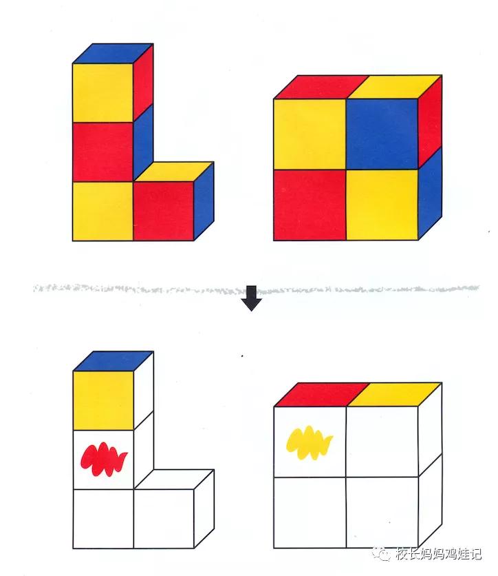 斯奎尔全脑数学讲解3到4岁,四岁学完所有课程