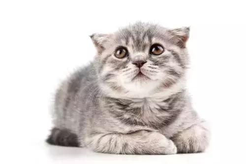 一直都真实存在的流言,一直有人在造谣我自己怎么办