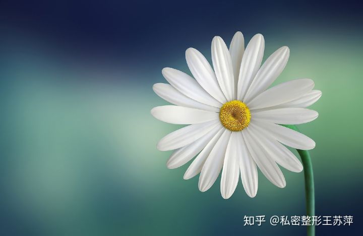 一般的私密整形有哪些,私密整形手术是什么