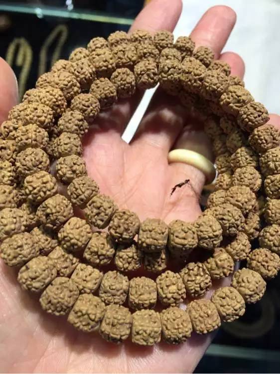 小金刚菩提最终是怎么样的,小金刚菩提子怎么看是真是假