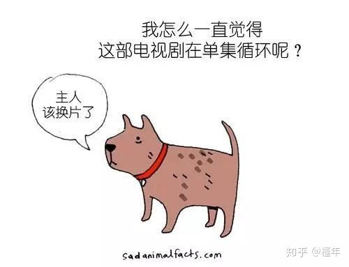 想象中不一样的动物冷知识,悲伤的动物视频