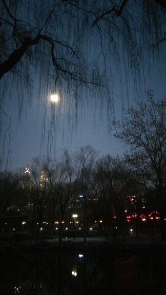 自觉履行岗位职责,职场角色的转变意味着责任和担当