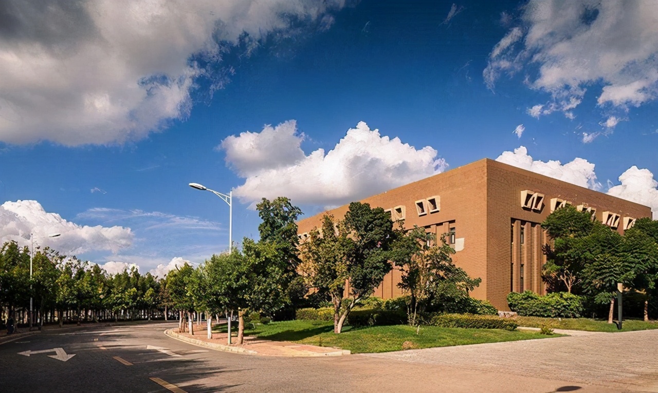 文过专录是只针对校考的学生吗,云南艺术学院今年有校考吗