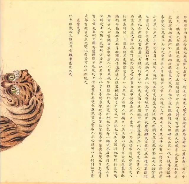 清代海错图有用吗,故宫海错图展