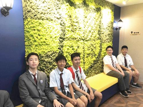 上海美高学校马桥校区,上海美高国际学校闵行区