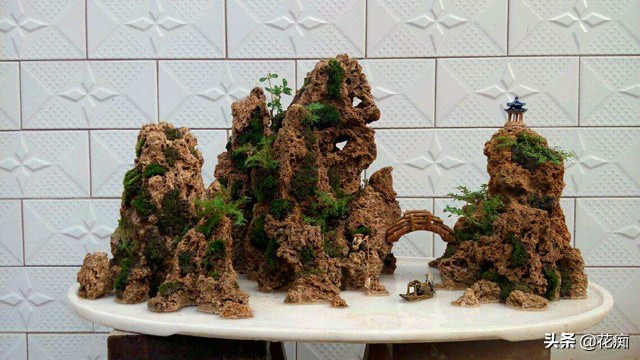 上水石上面栽什么植物好看,上水石上的绿植挡住了好吗