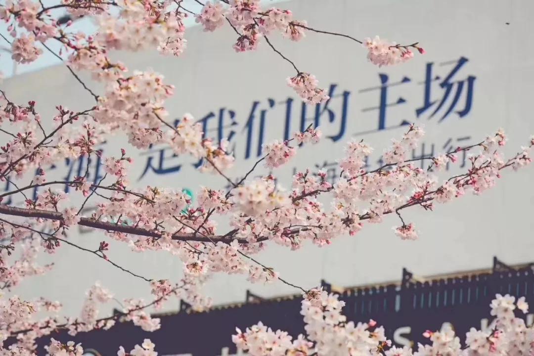 有一种记忆叫永远的回忆,有一种记忆叫失忆