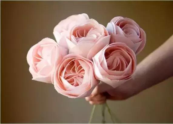 那些天价的植物,十大最值钱的植物