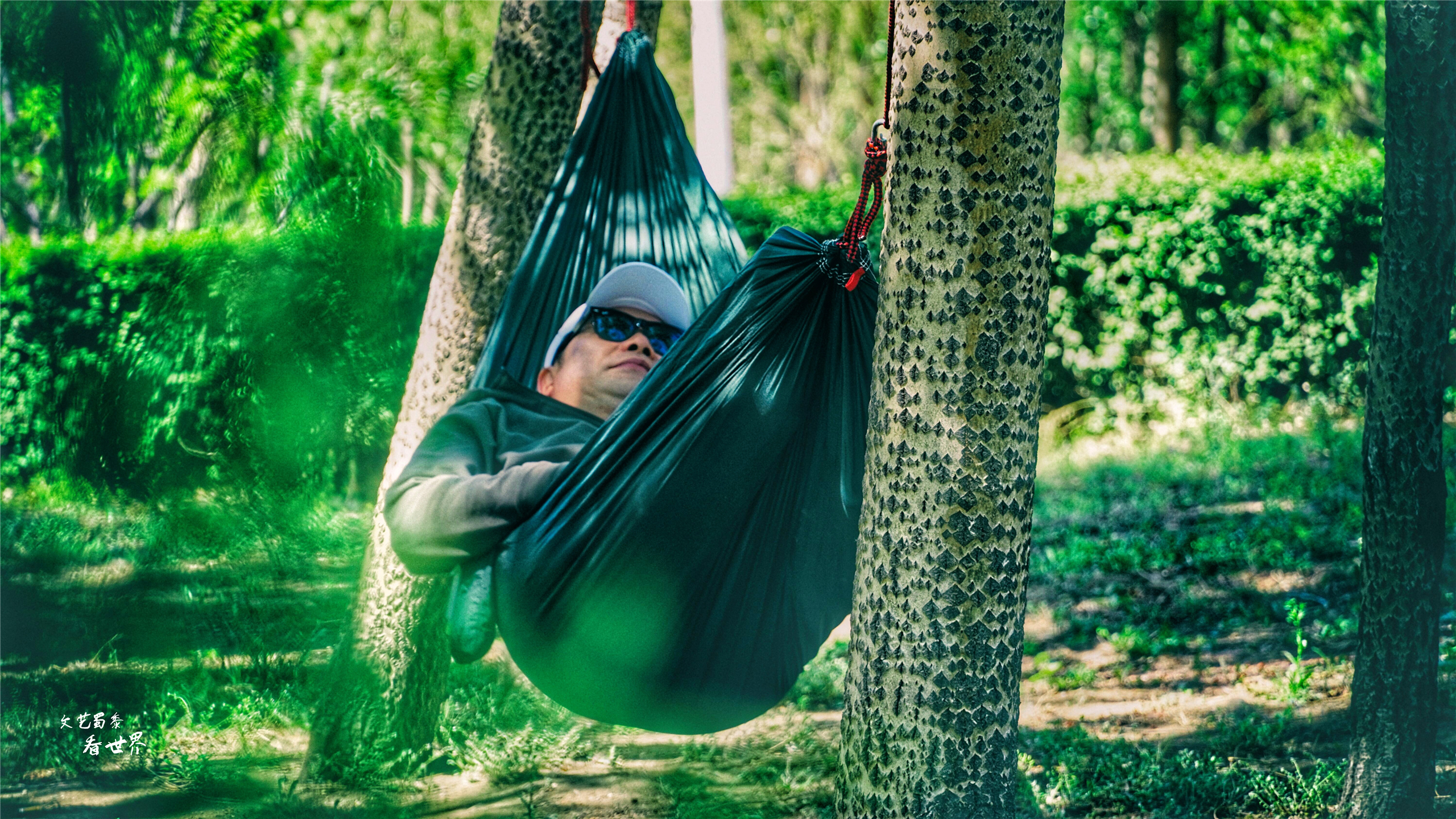 沈阳已被评为国家中心城了吗,沈阳被评为国家交通枢纽城市