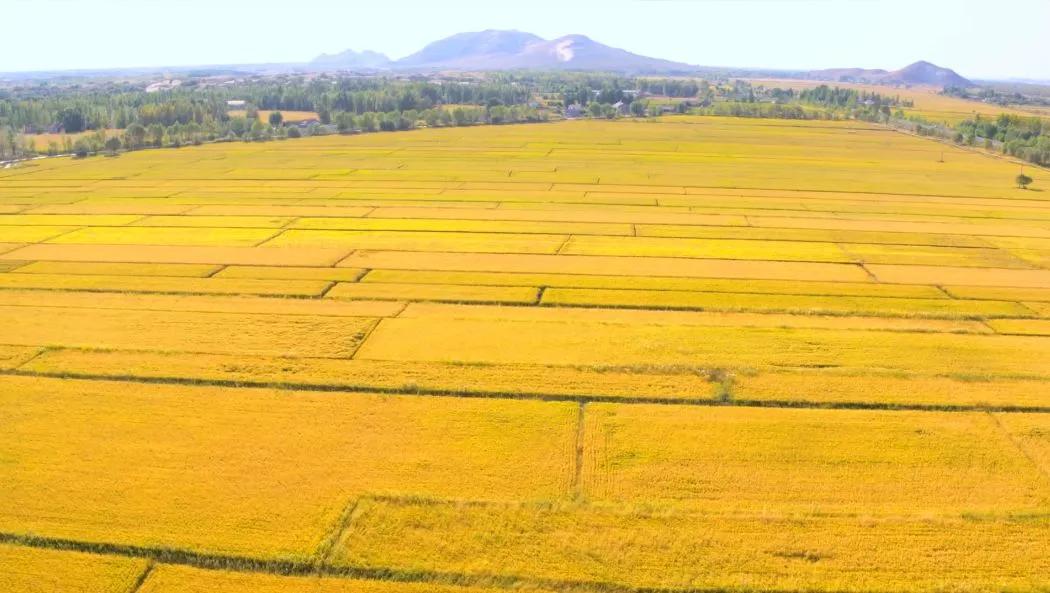 你好，我是“宝藏”城市——赤峰