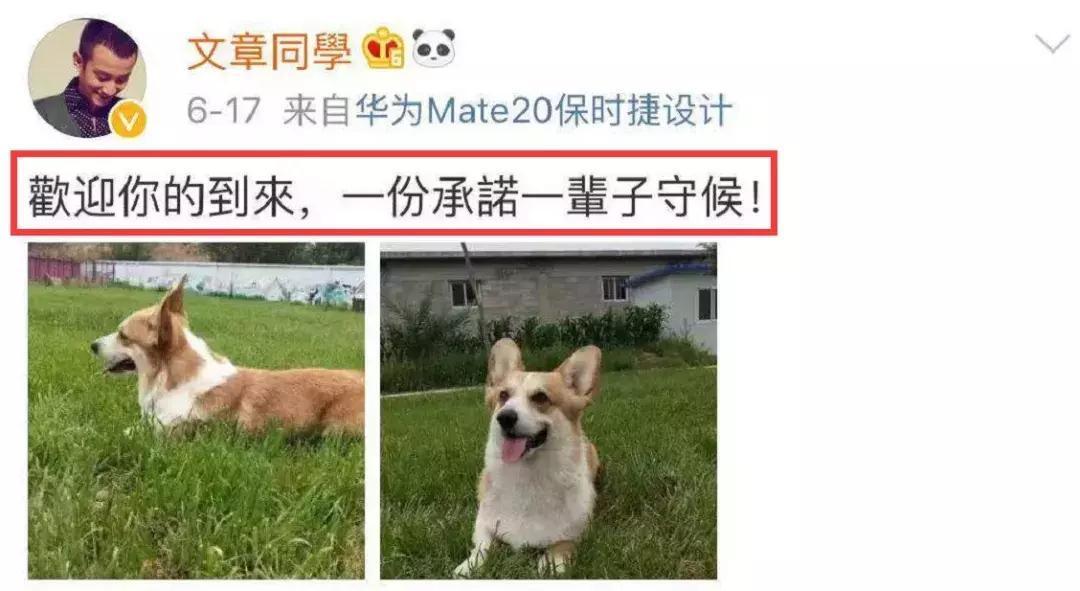 马伊琍说过的一句话且行且珍惜,马伊琍一别两宽各自生欢