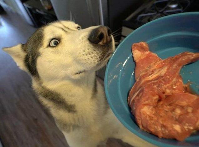 狗狗千万不能常吃鸡肝,狗狗长期食用鸡肝