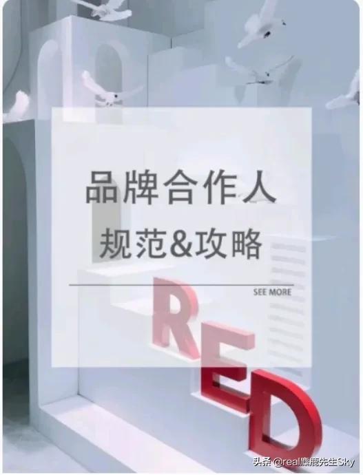 小红书摄影博主怎么赚钱,小红书图书类博主是怎么赚钱的