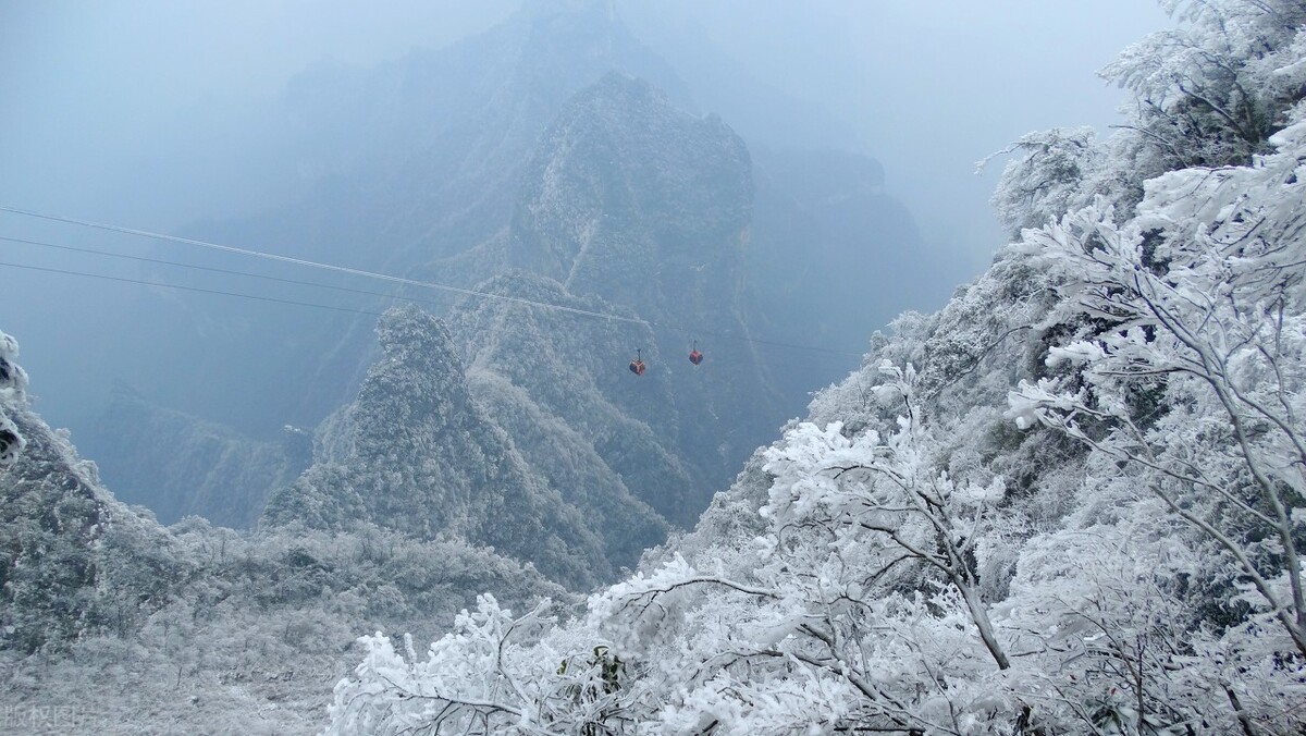 孟晚舟在张家界,孟晚舟来张家界旅游全视频