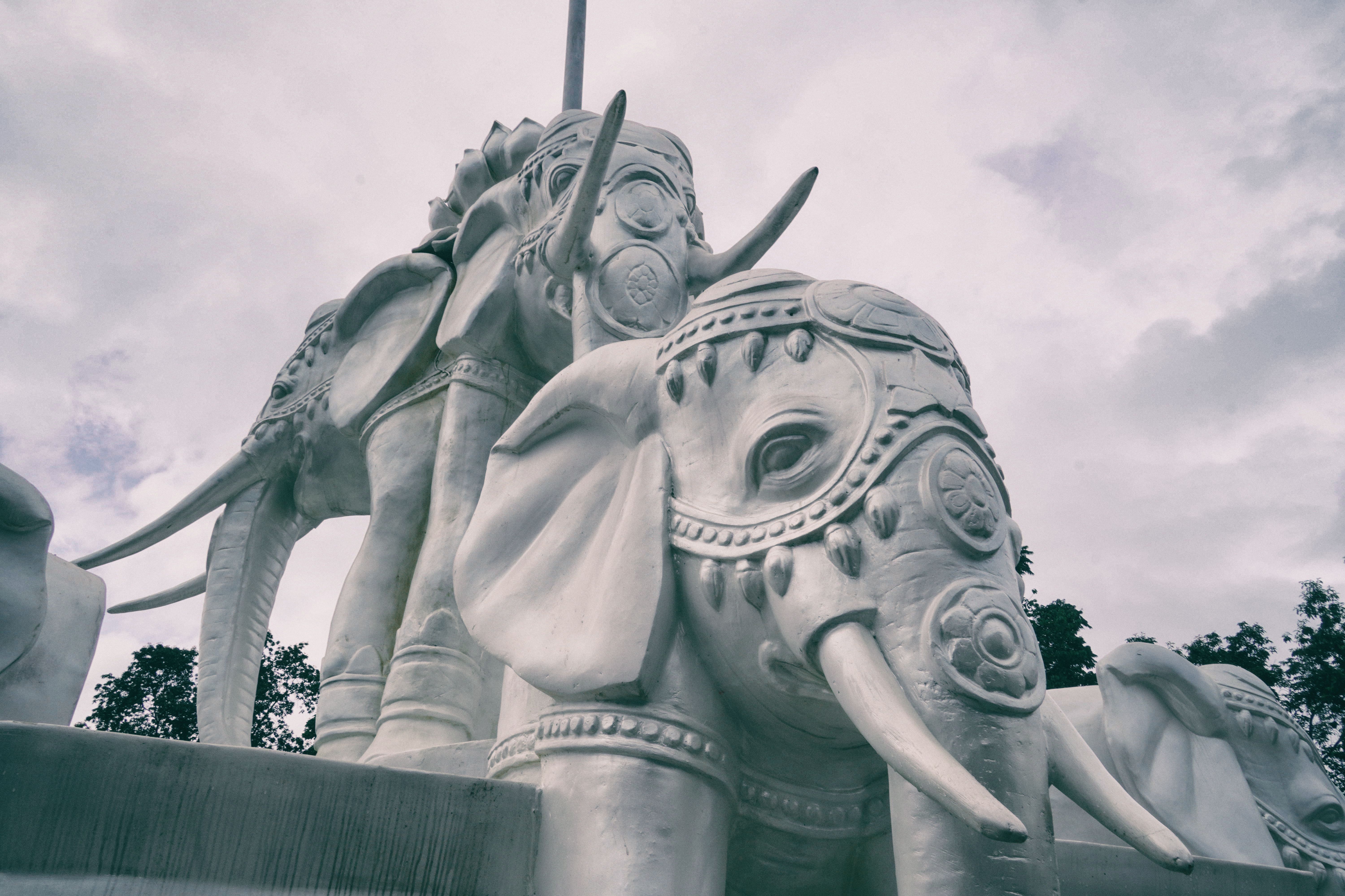 在祖国的边疆,在祖国西南边陲的云南省