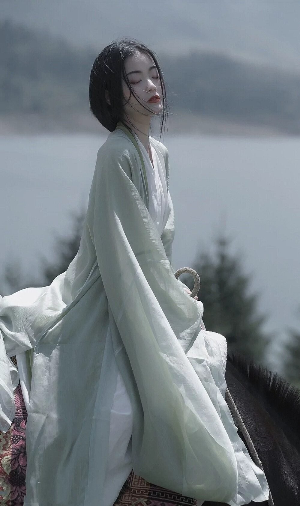 杜甫怀念李白诗词大全集名句,杜甫怀念李白的诗句