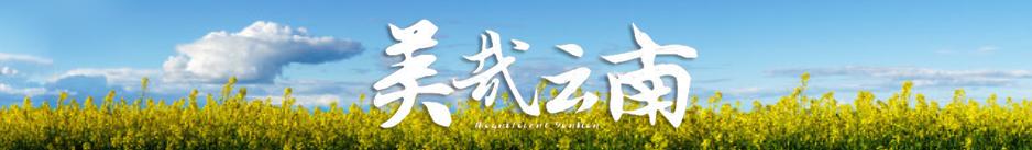 缇庡搲浜戝崡瑙嗛,缇庡搲浜戝崡鍓х収