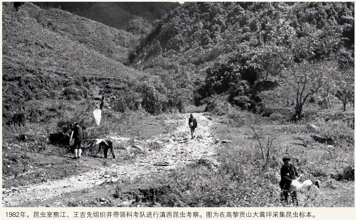 中国社会科学院昆明动物研究所,中国科学院昆明动物研究所简介