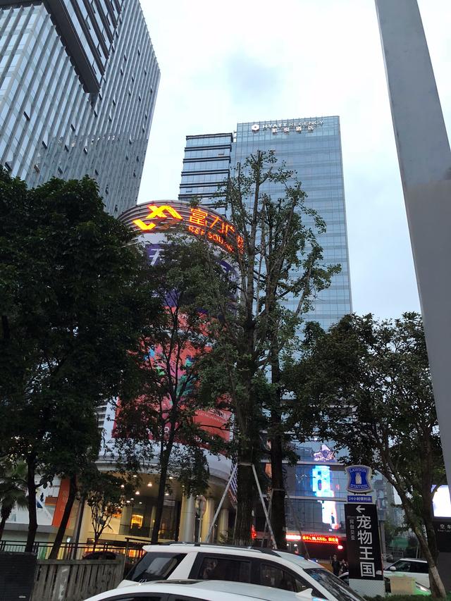 重庆富力凯悦酒店婚宴价格,重庆富力凯悦酒店测评