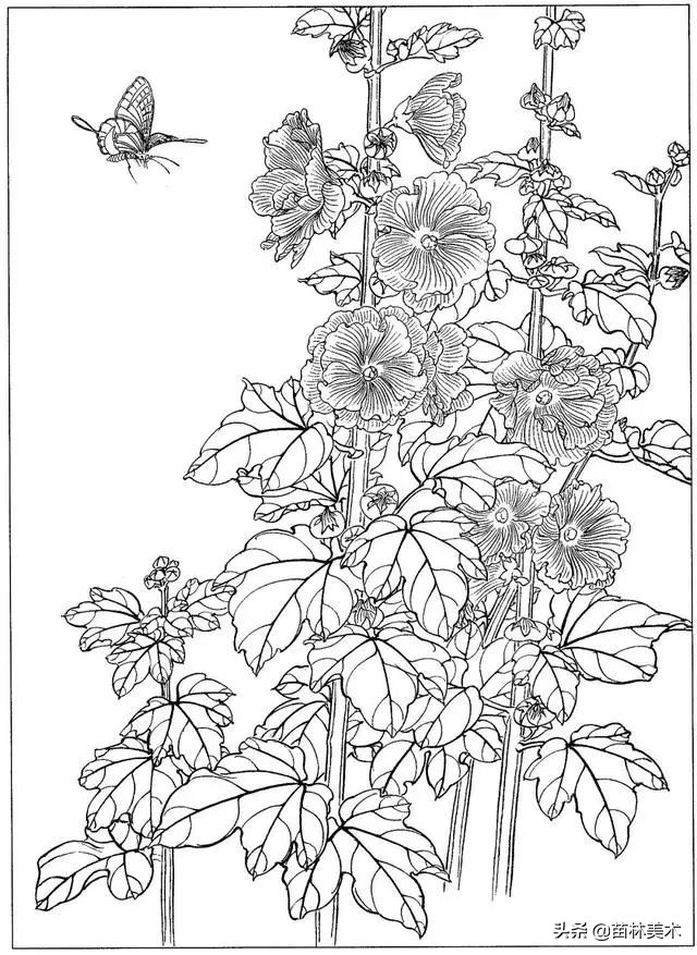 现代国画工笔花鸟白描及完整版,路雨年工笔白描花鸟团扇高清图片