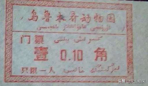 乌鲁木齐90后的南门回忆,乌鲁木齐人民公园记忆