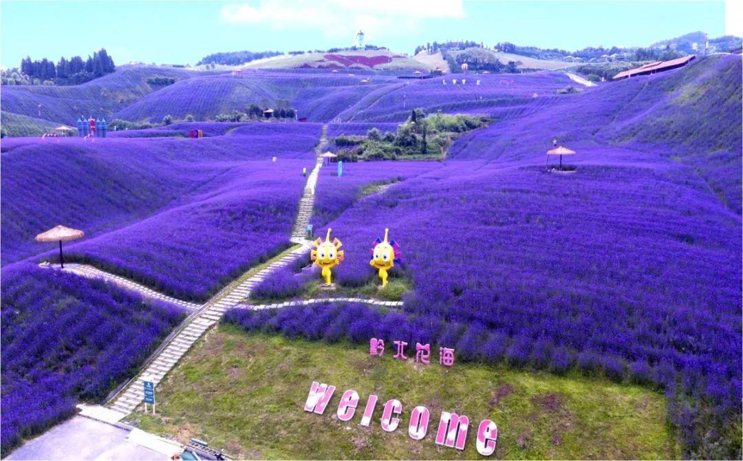 贵州遵义的a级景区有哪些,贵州遵义5a级旅游景点