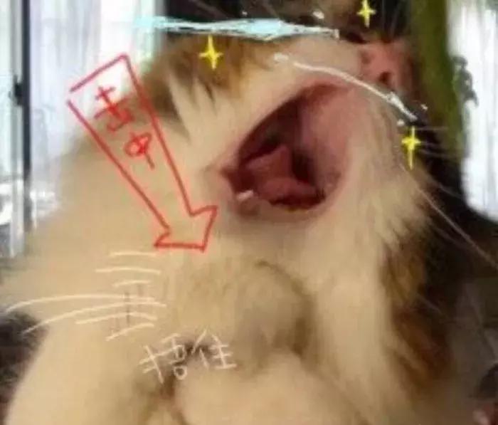 4款不输大牌的平价包包潮爆了,背大牌款式的包