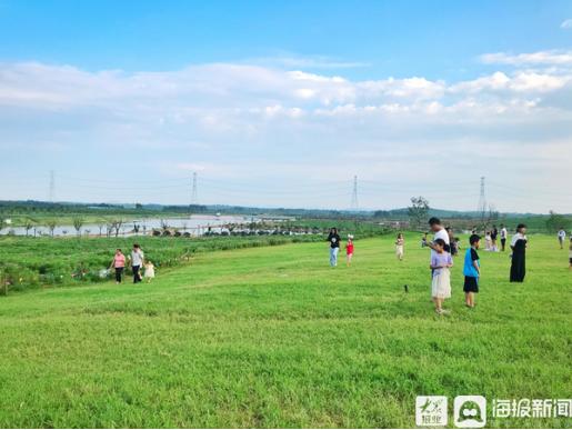 20多家主流媒体齐聚,一百多家媒体关注蒙阴