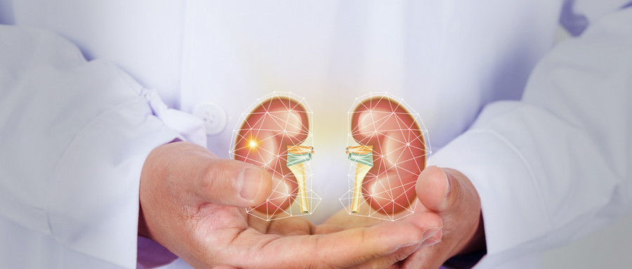 如何养肾修复肾功能,养肾脏护肾的方法和饮食