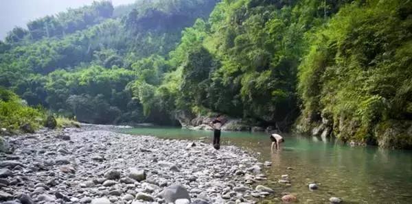 成都秋老虎发威的地方,成都秋老虎最新视频