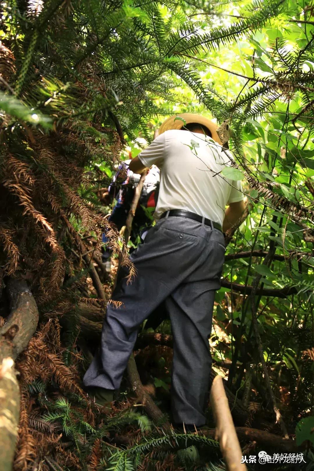 舒城县五显镇石关风景区,舒城石关风景游玩攻略